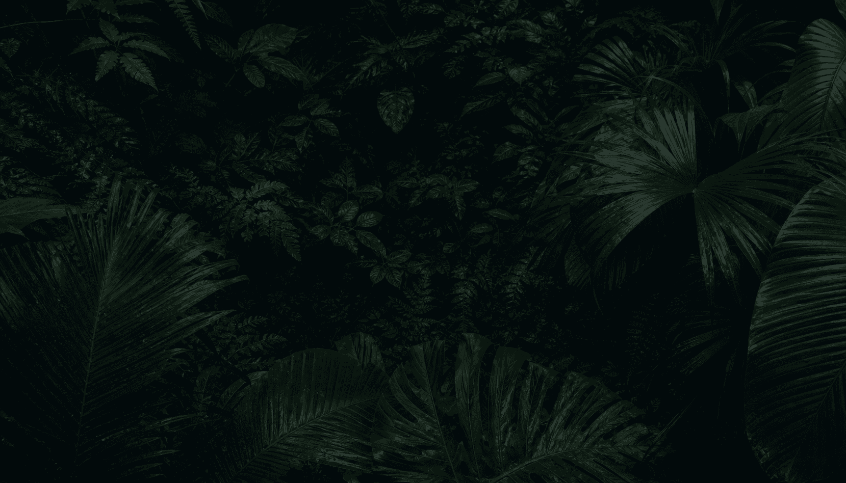 Folhagem tropical escura